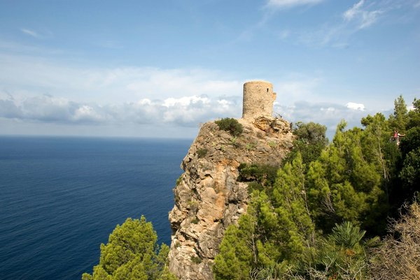 Comment créer un mini-verger en permaculture sur une terrasse urbaine ?