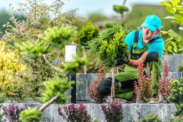 Les meilleurs paysagistes à Montpellier pour un jardin de rêve